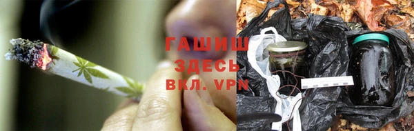 скорость Заводоуковск
