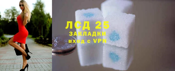 шишки Елизово