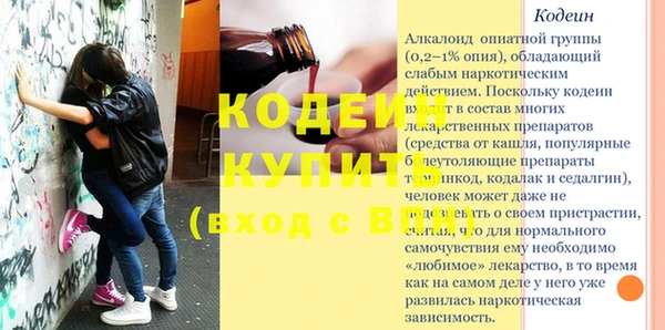 соль ск Ельня