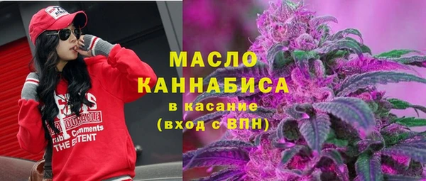 шишки Елизово