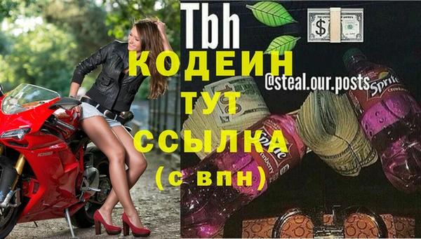 соль ск Ельня