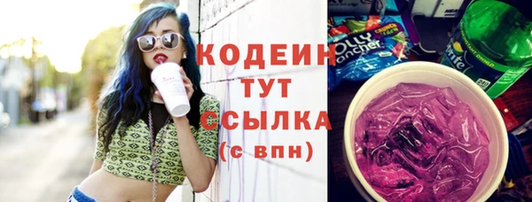 соль ск Ельня